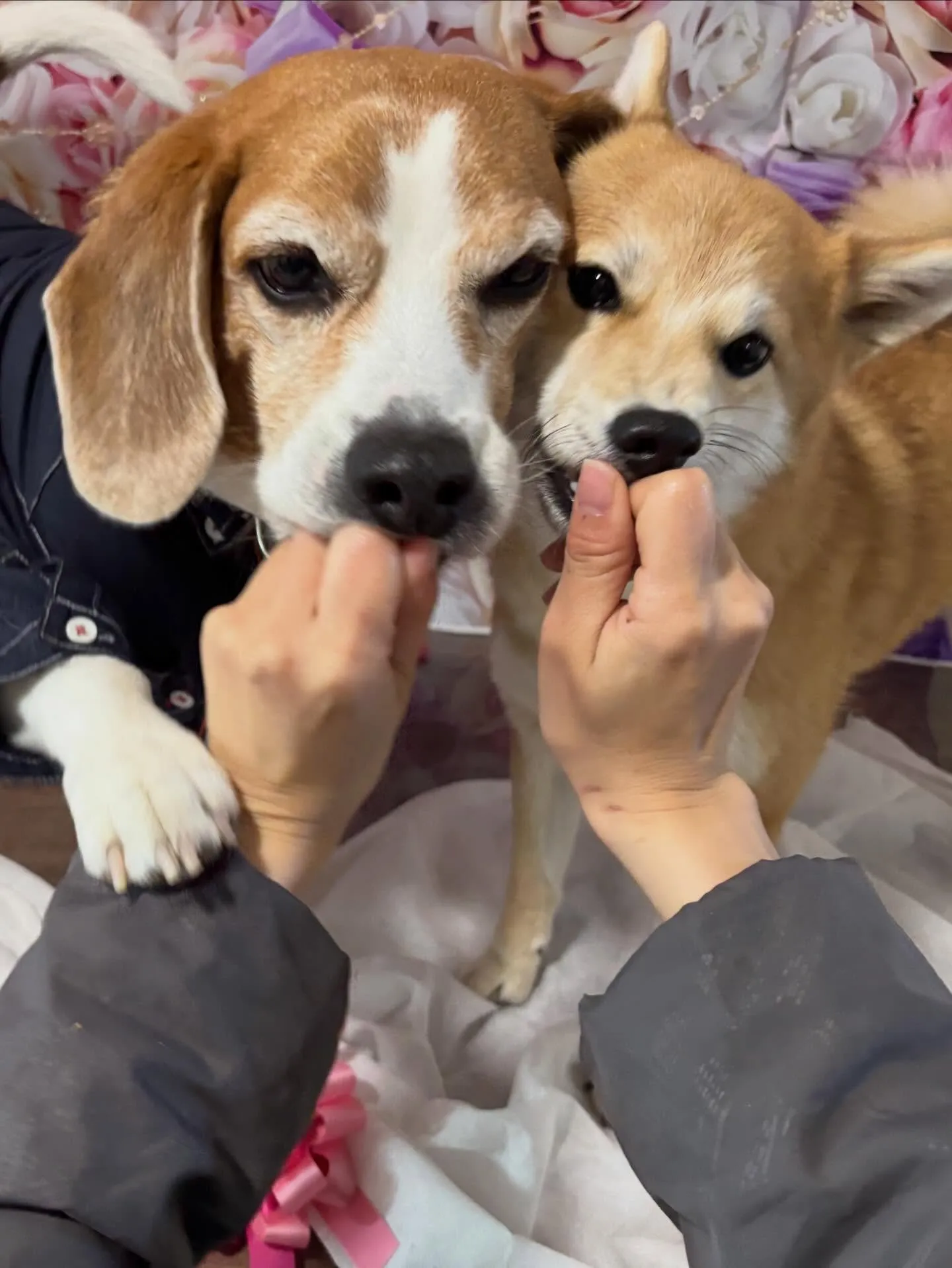 投稿遅くなりましたが