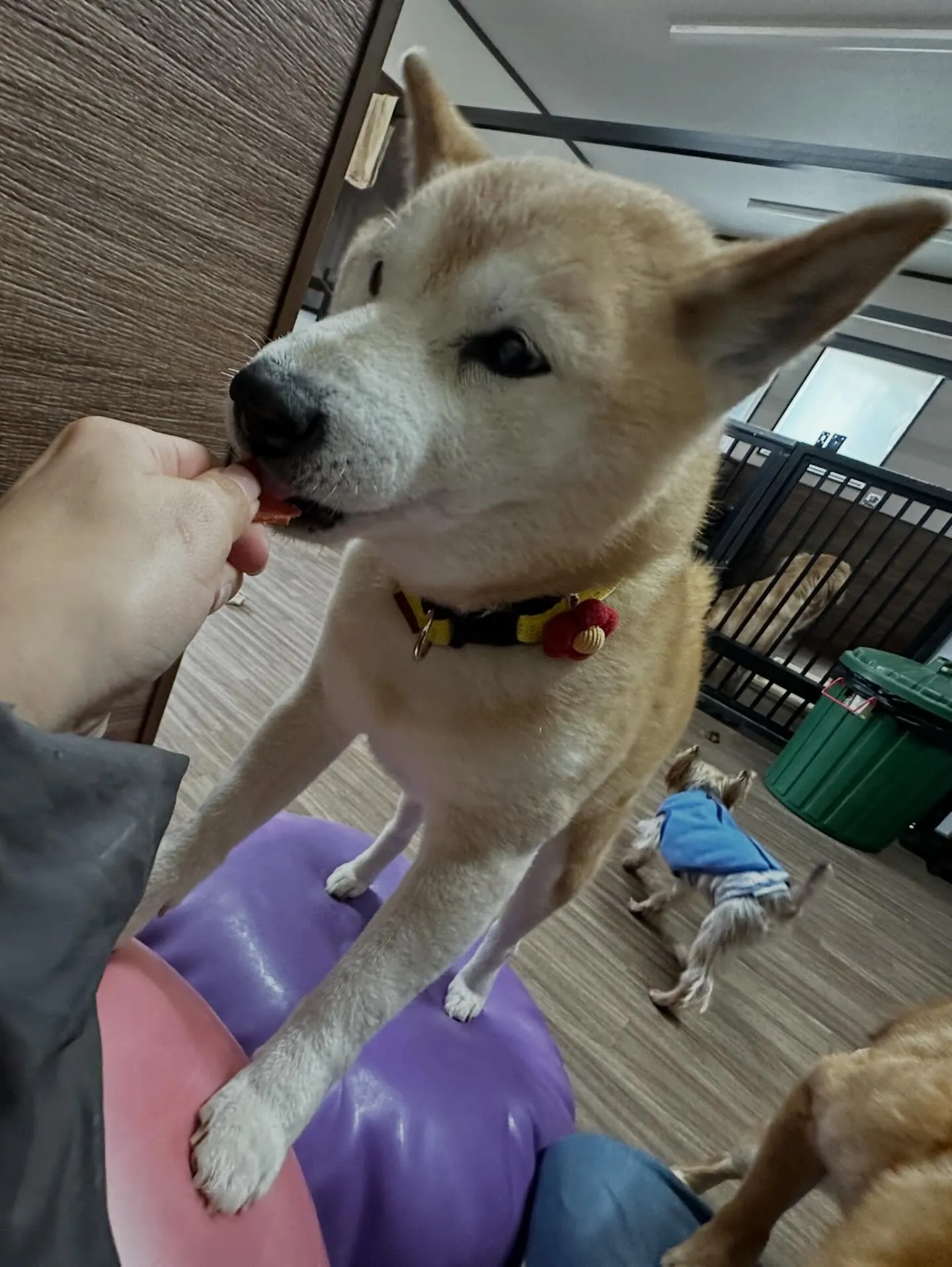 投稿遅くなりましたが