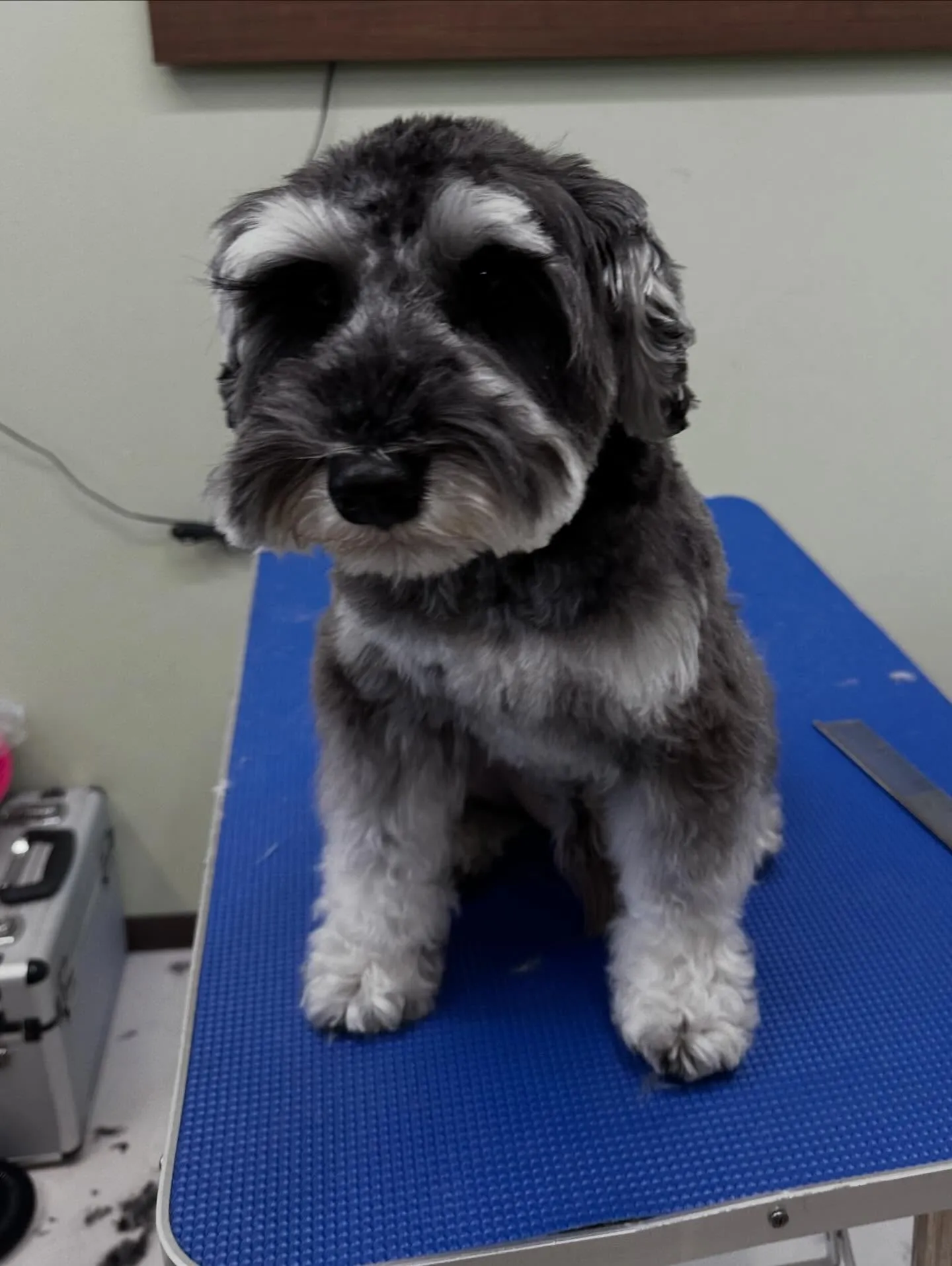 投稿遅くなりましたが