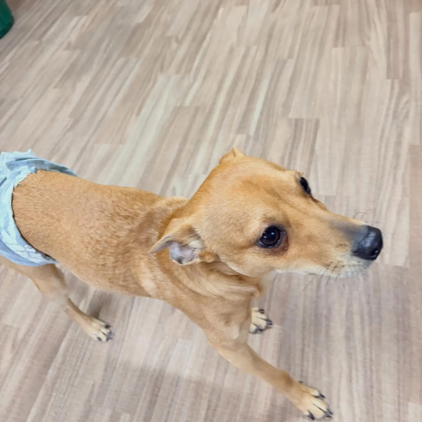 入会してくれたくうくんです❣️