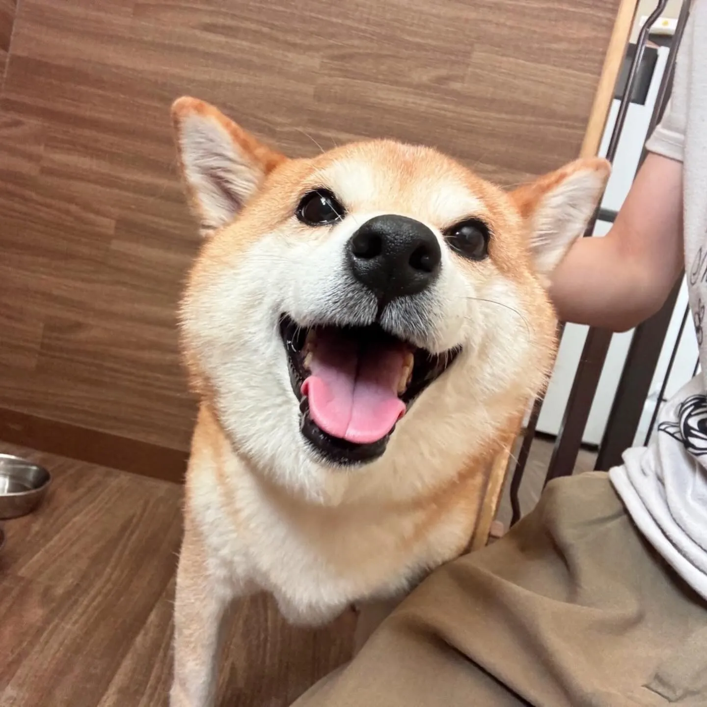 入会してくれたひなちゃんです🎶