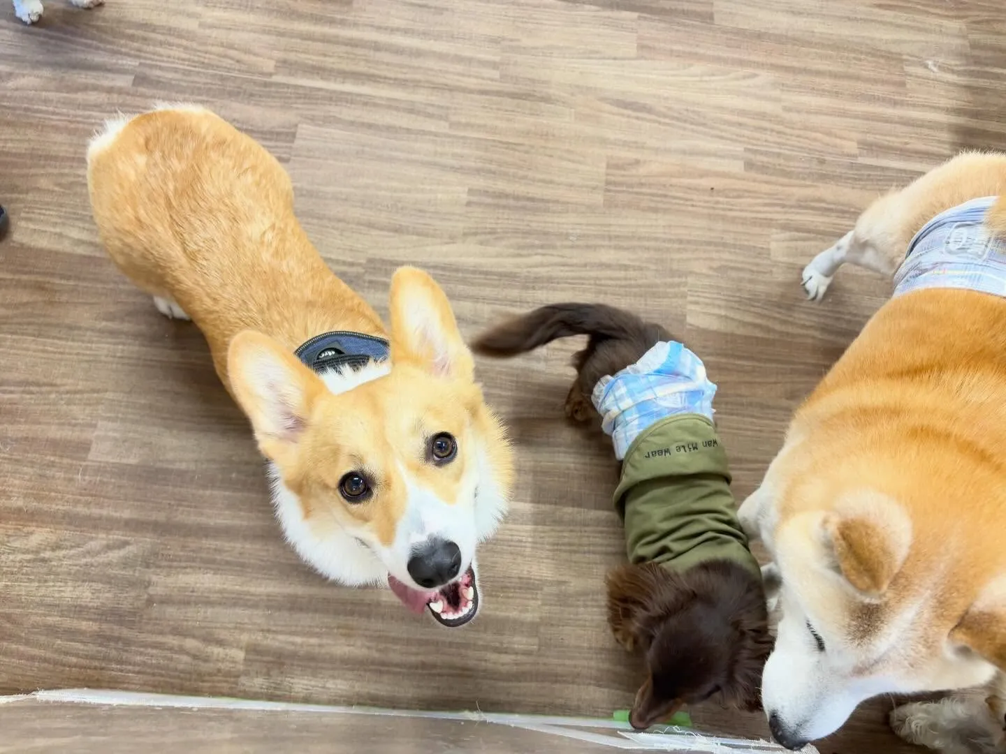 【電話番号変更のお知らせ】