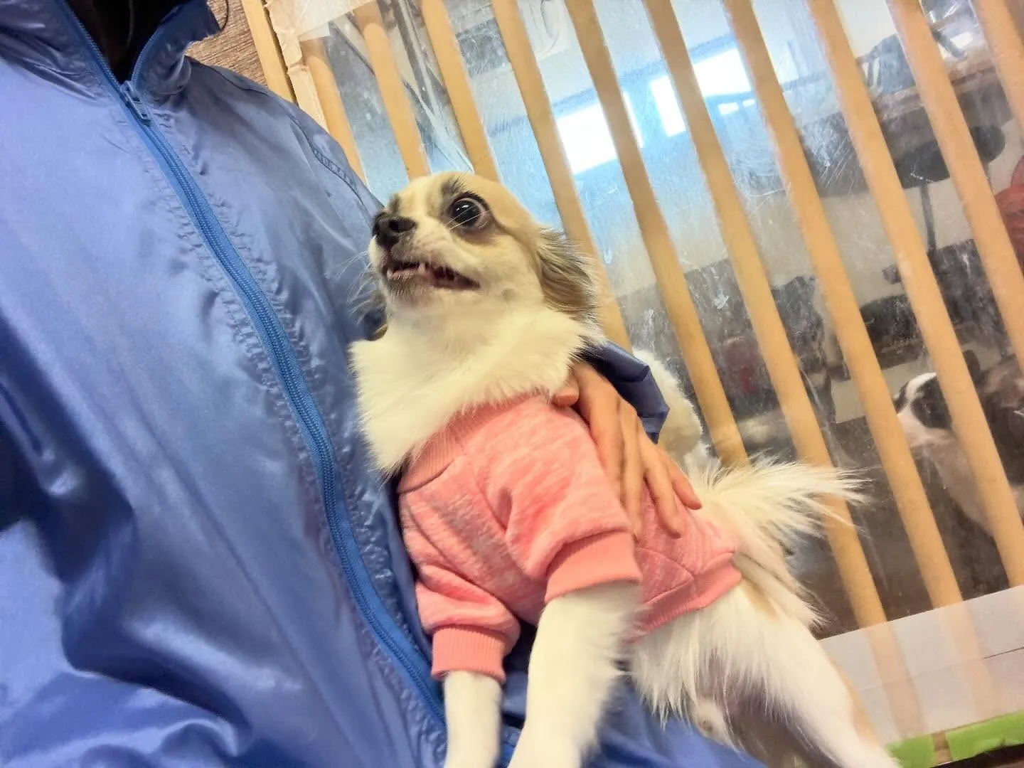 【電話番号変更のお知らせ】