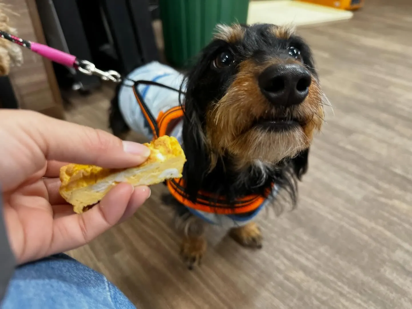 【電話番号変更のお知らせ】