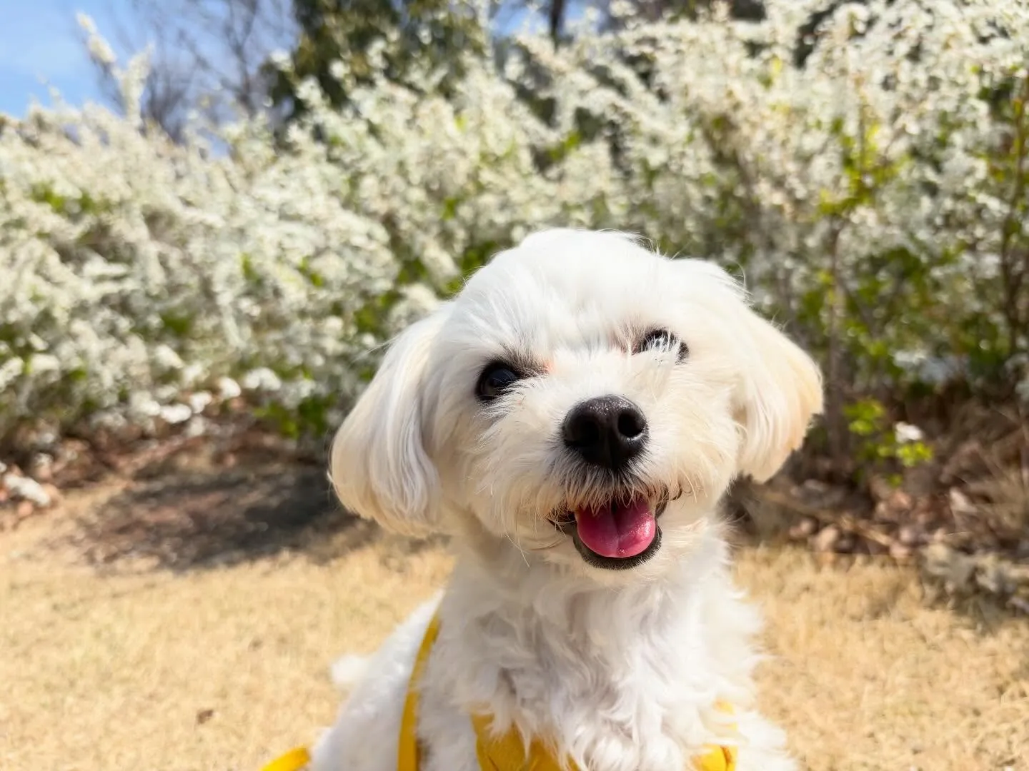 先日春の遠足イベントを開催していました🌸