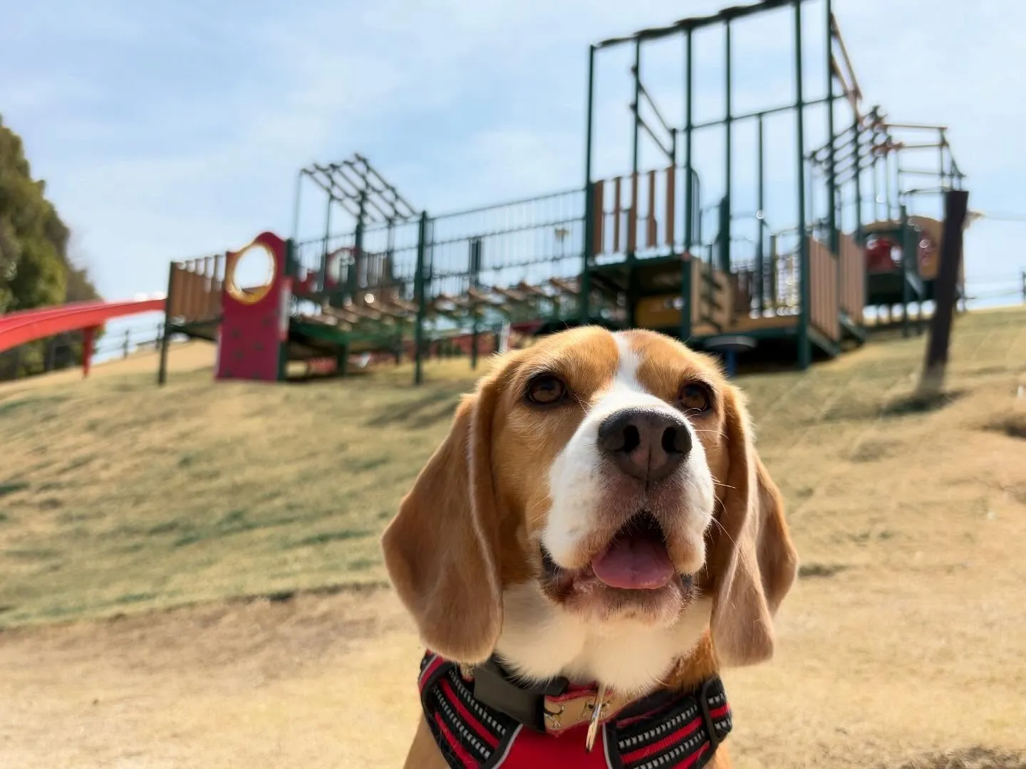 先日春の遠足イベントを開催していました🌸