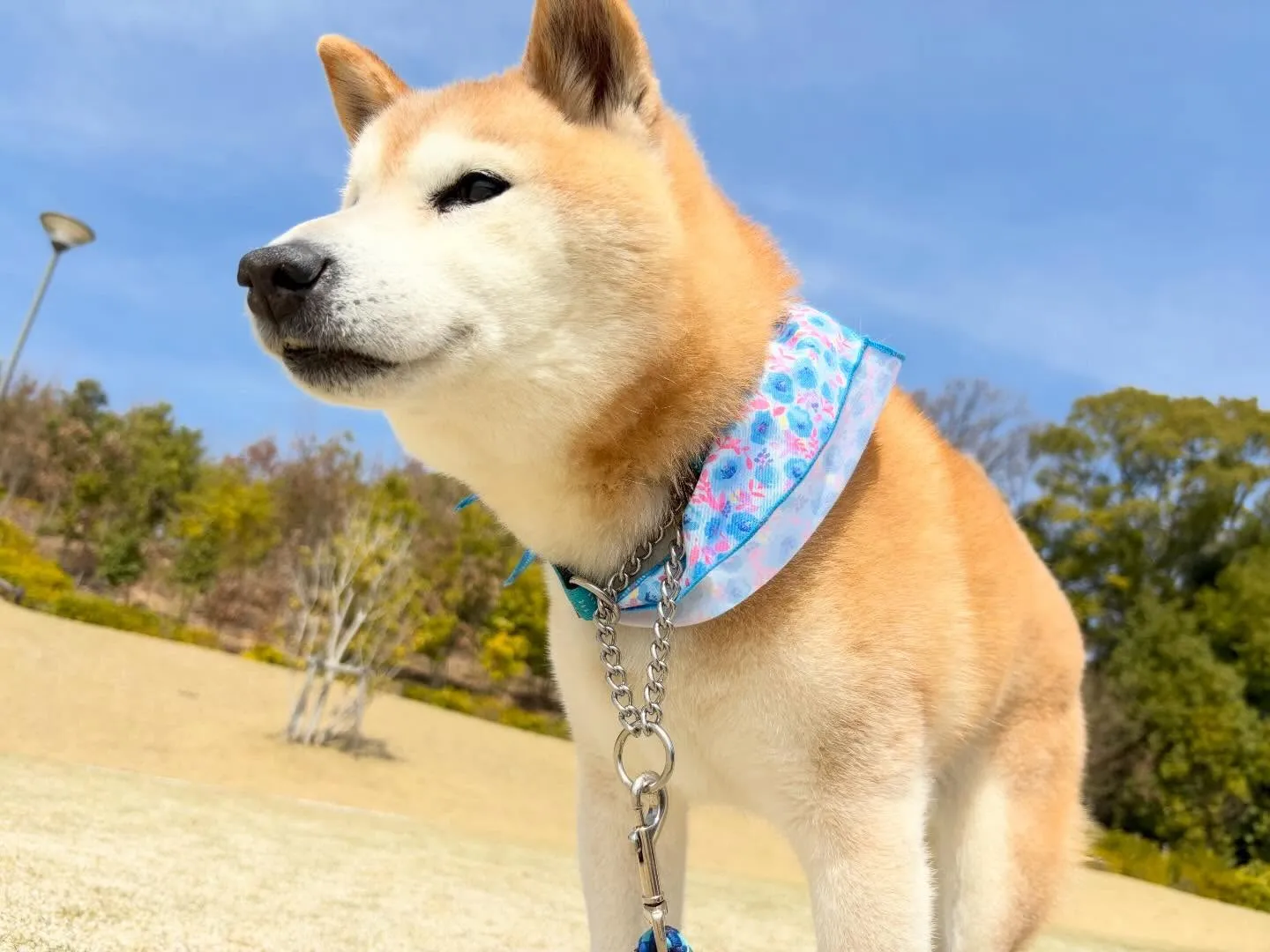 先日春の遠足イベントを開催していました🌸