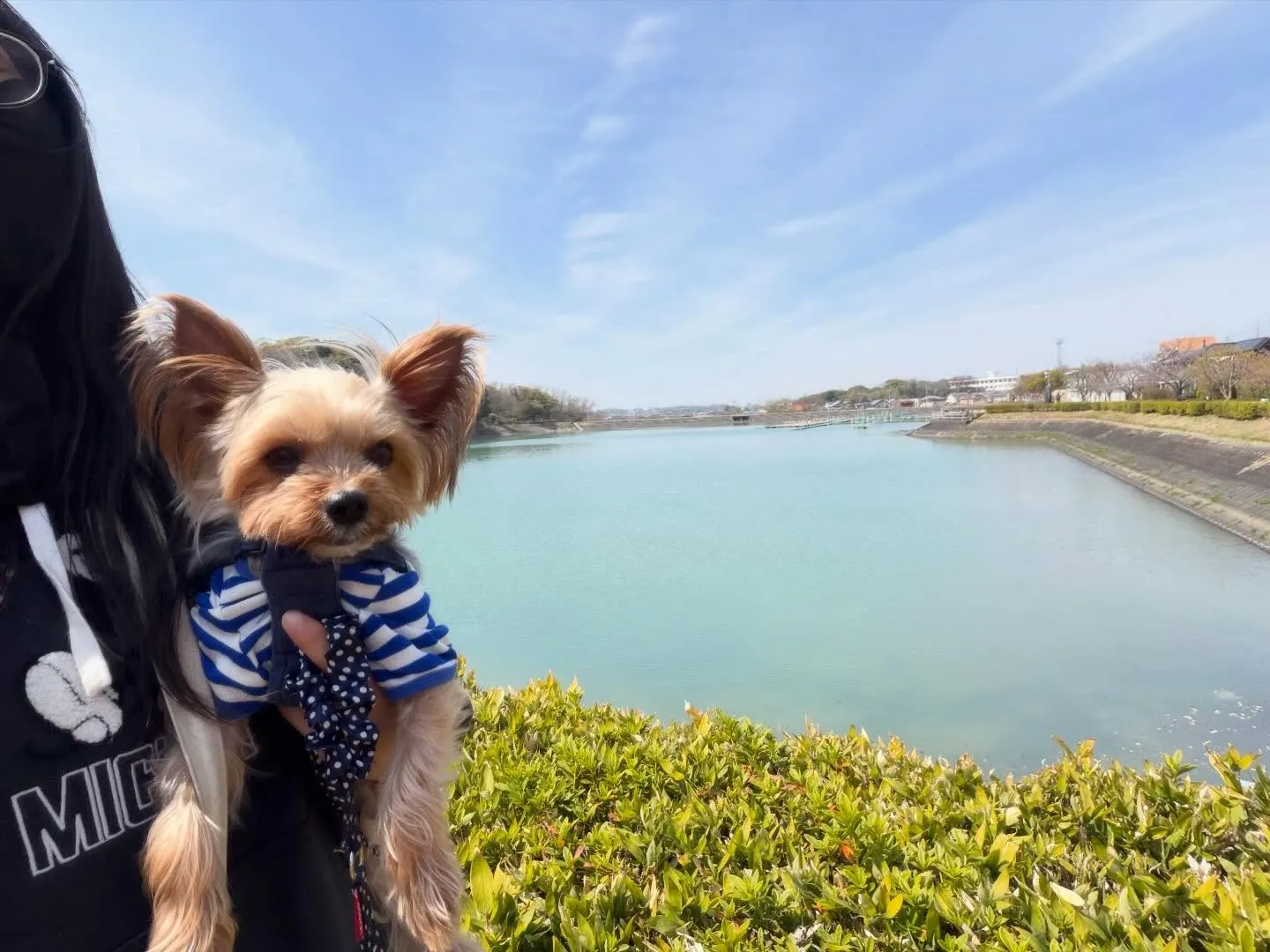 先日春の遠足イベントを開催していました🌸