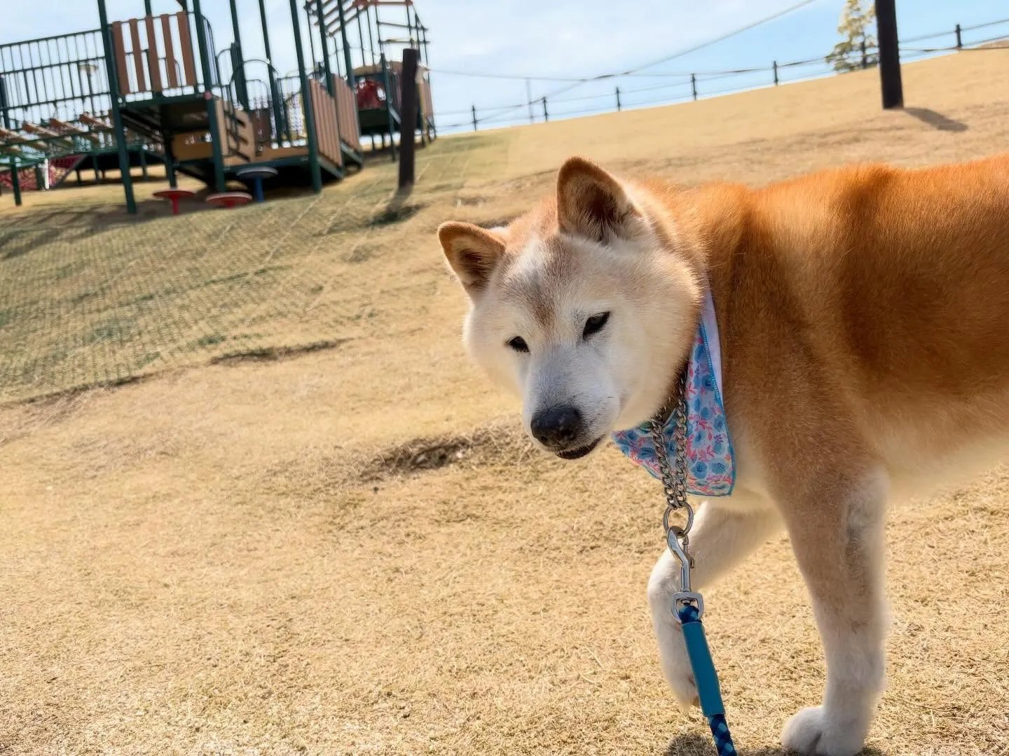 先日春の遠足イベントを開催していました🌸