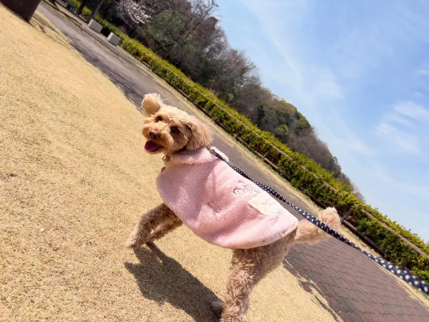 先日春の遠足イベントを開催していました🌸