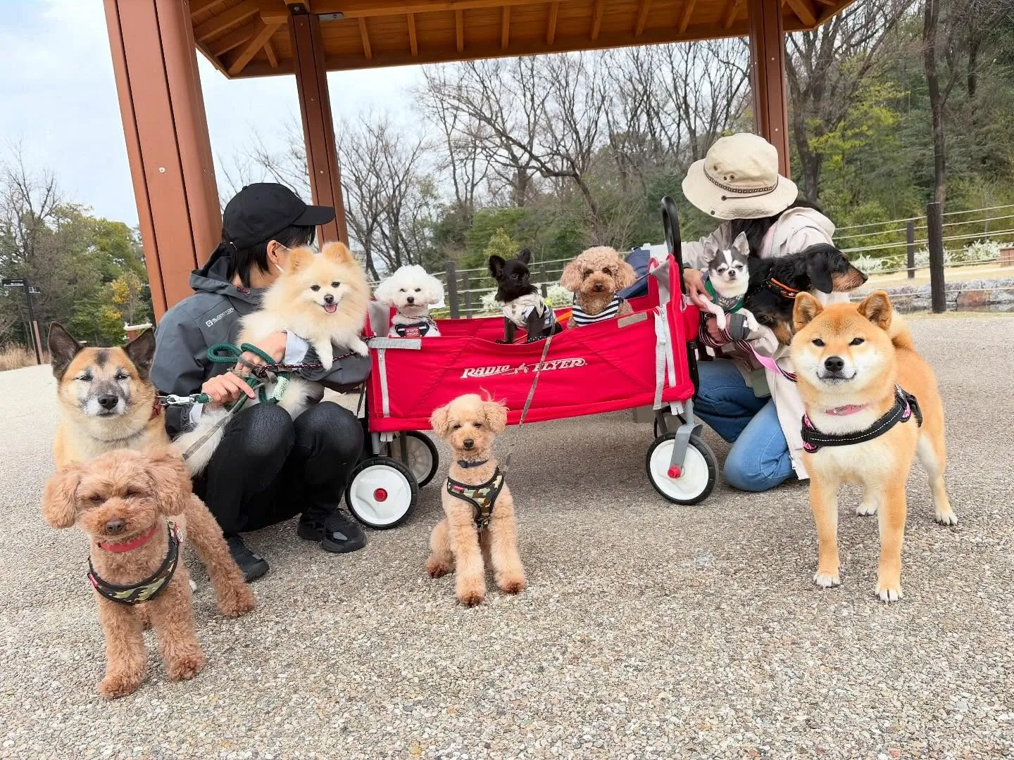 遠足2日目の写真です🎶