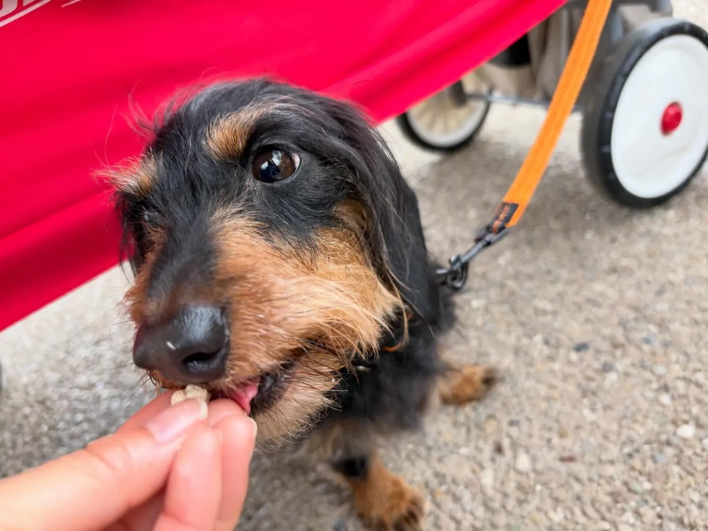 遠足2日目の写真です🎶