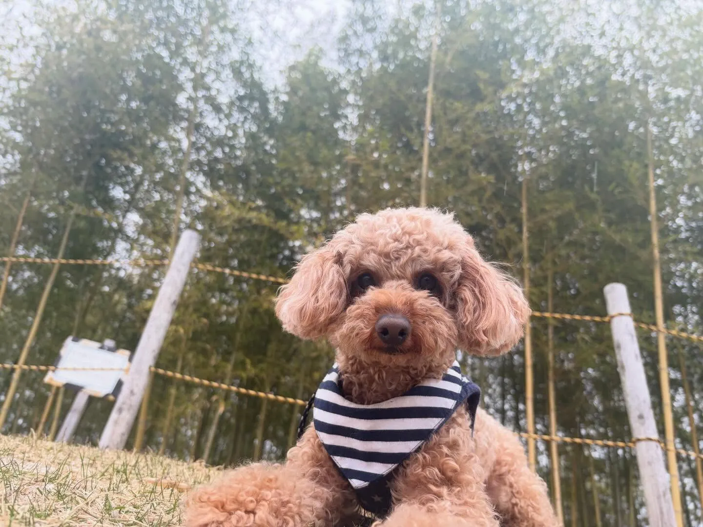 遠足2日目の写真です🎶