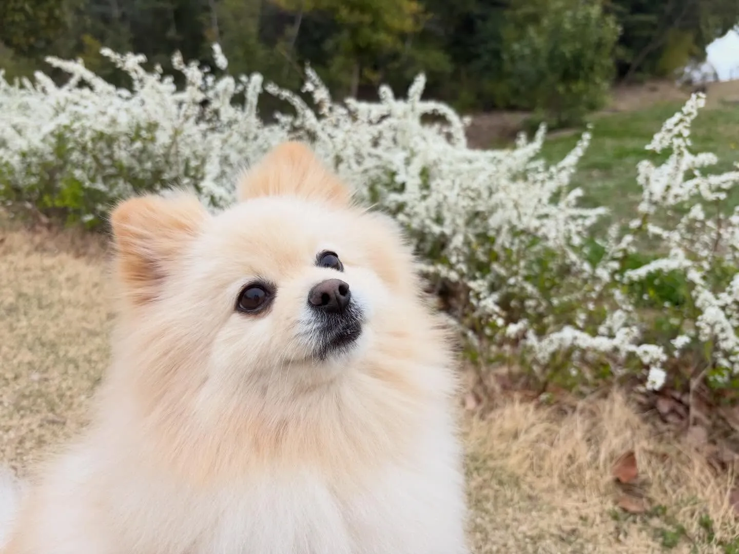 遠足2日目の写真です🎶