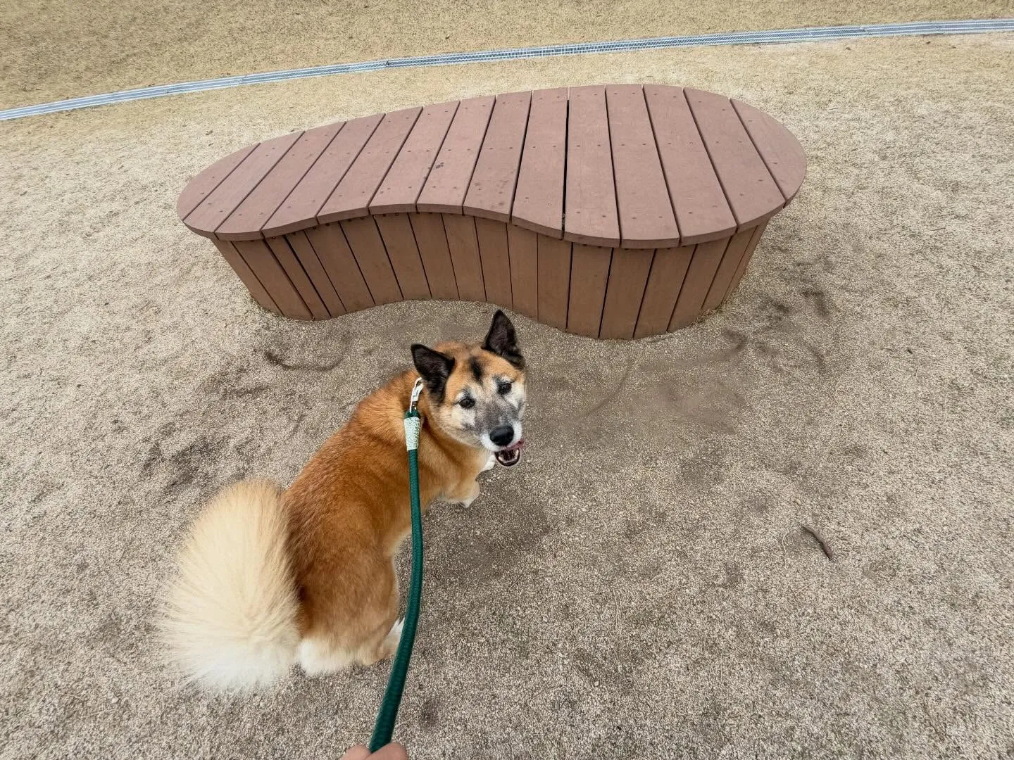 遠足2日目の写真です🎶