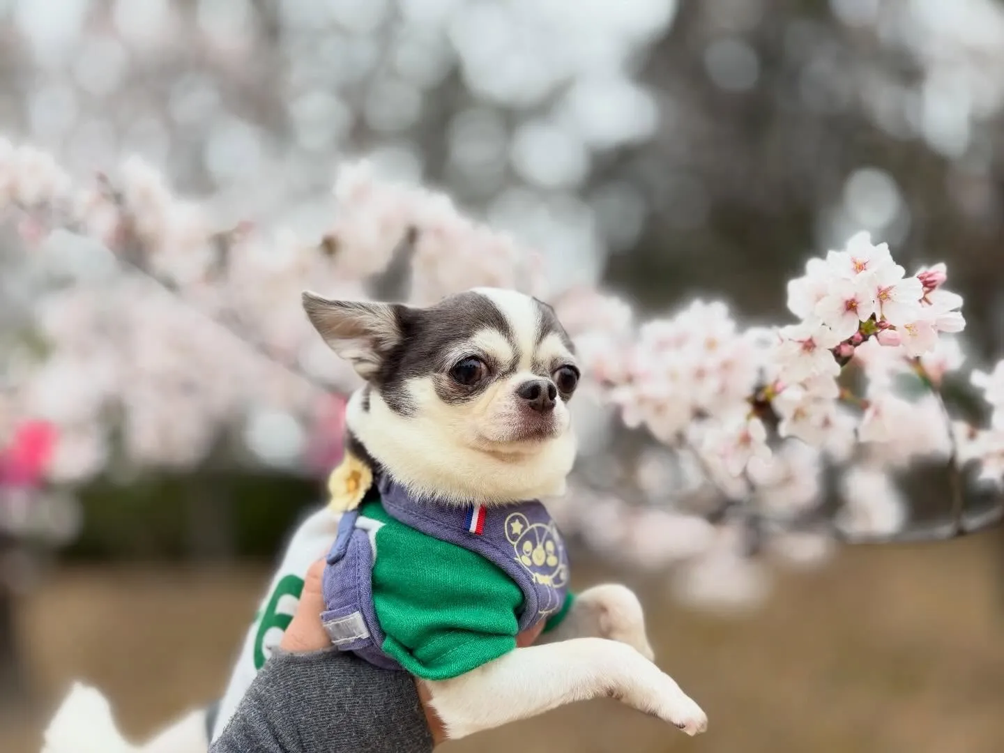 遠足2日目の写真です🎶