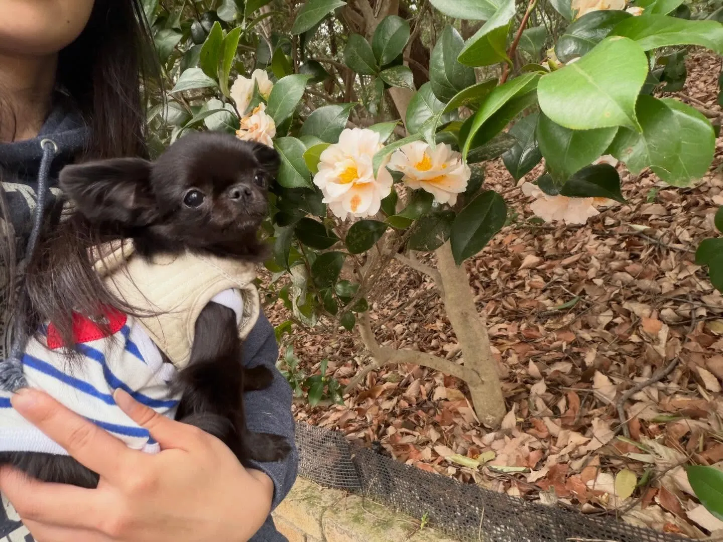 遠足2日目の写真です🎶