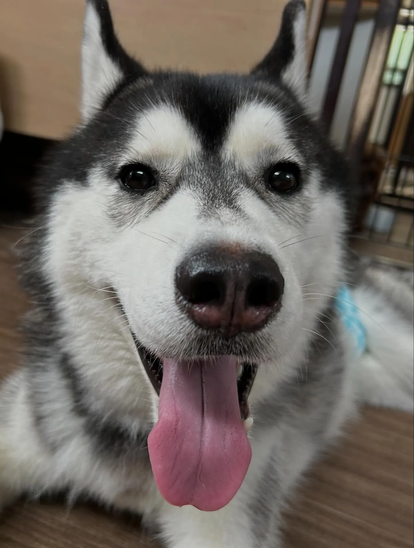 6月のカレンダーができました😊