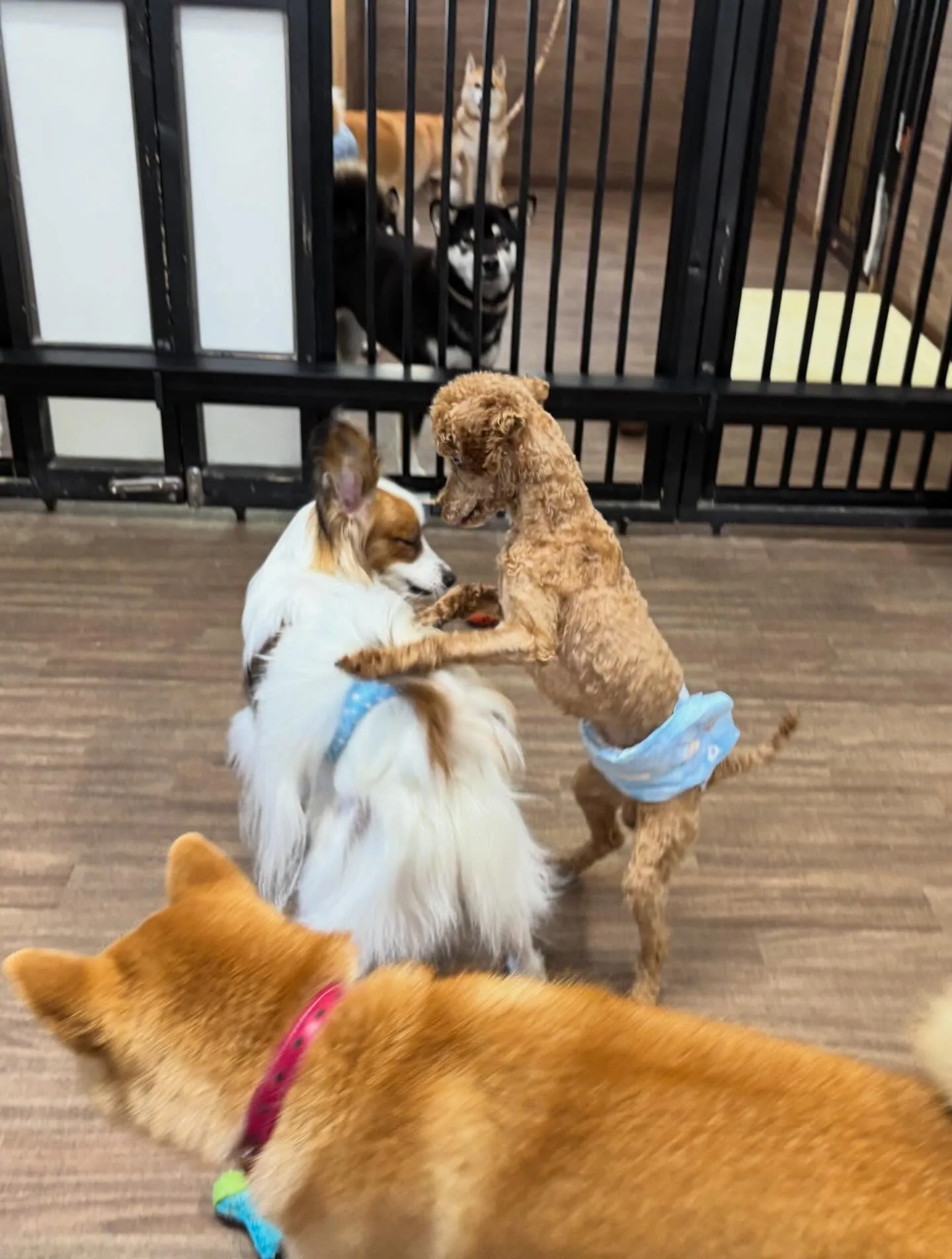 6月のカレンダーができました😊