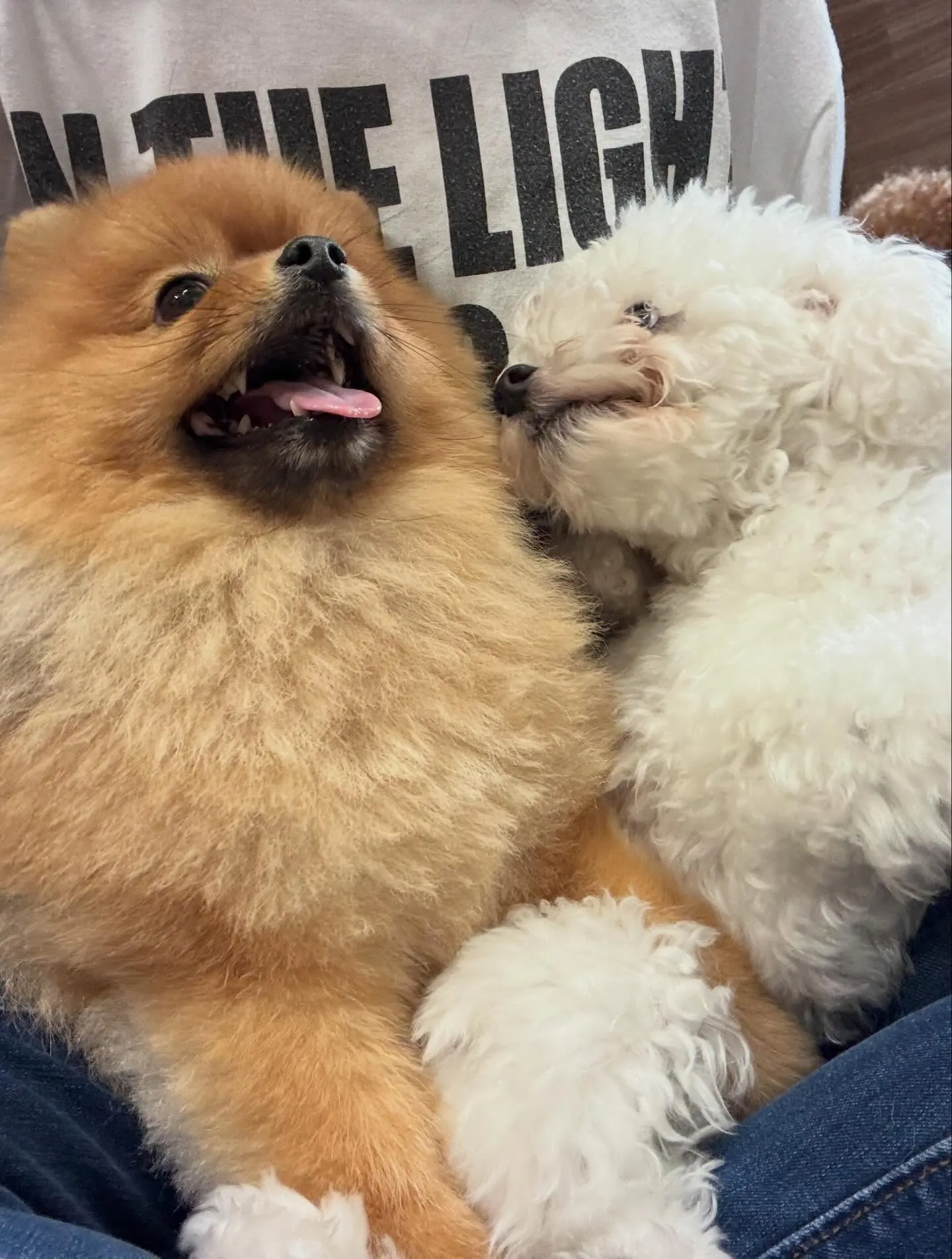 6月のカレンダーができました😊