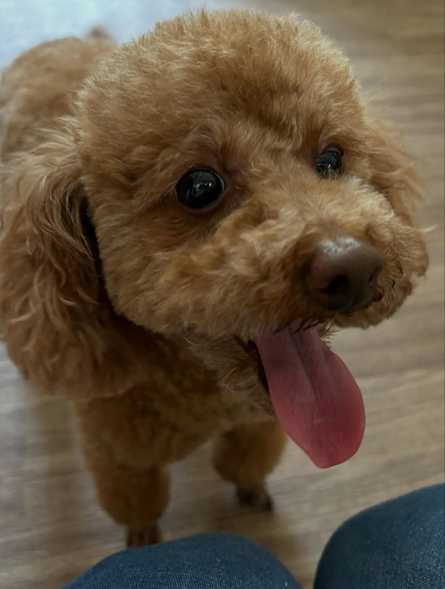 6月のカレンダーができました😊