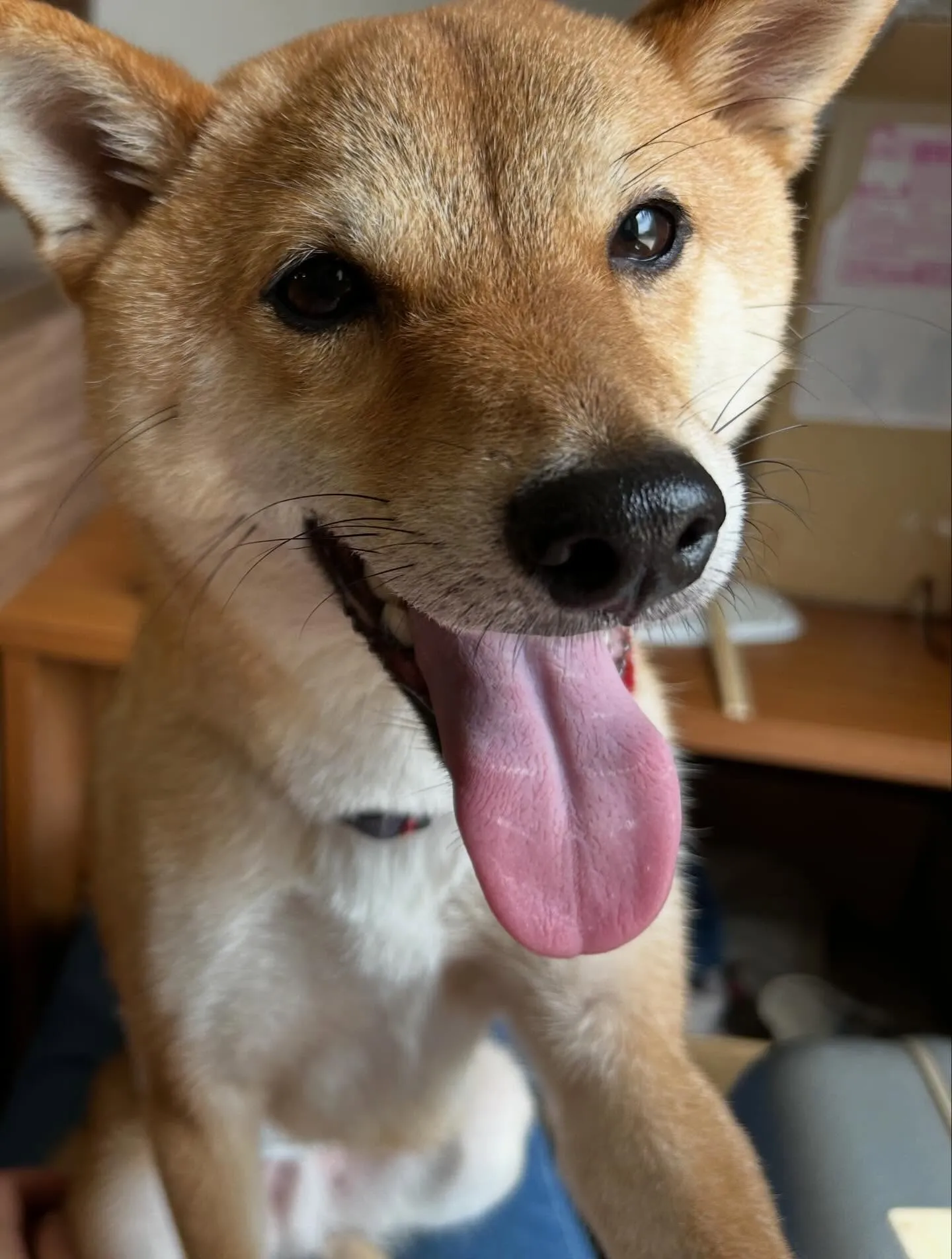 6月のカレンダーができました😊