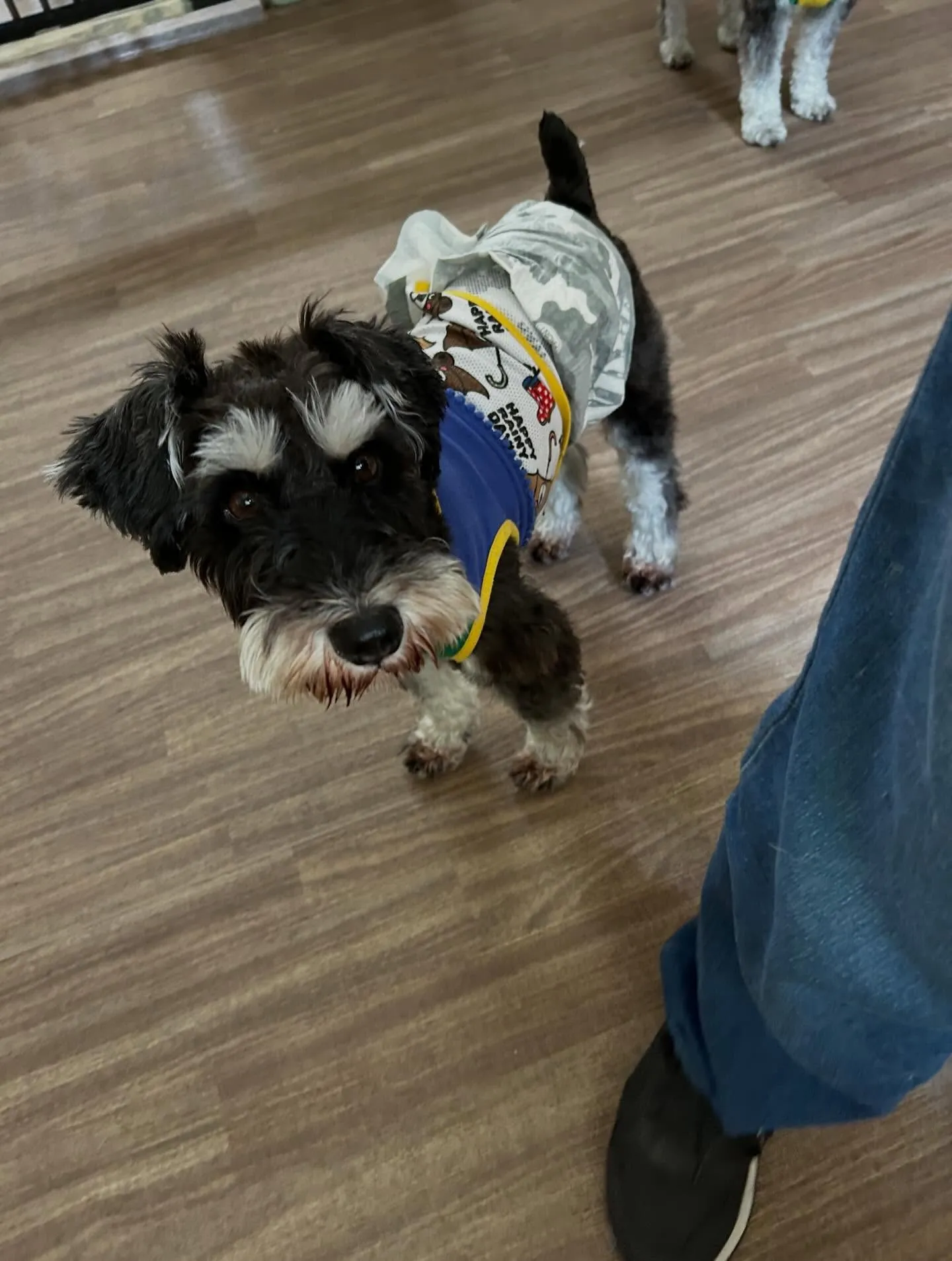 6月のカレンダーができました😊