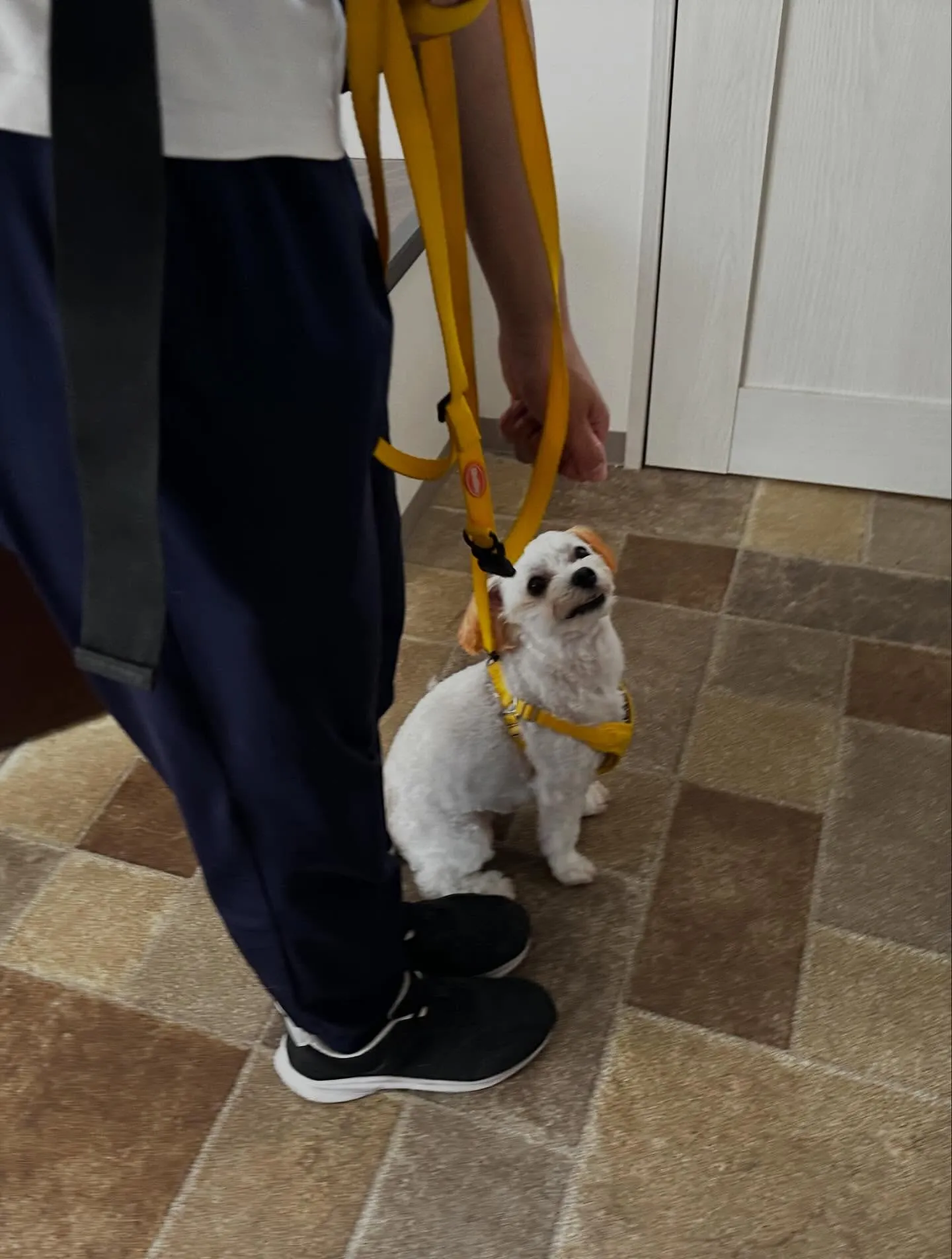 6月のカレンダーができました😊