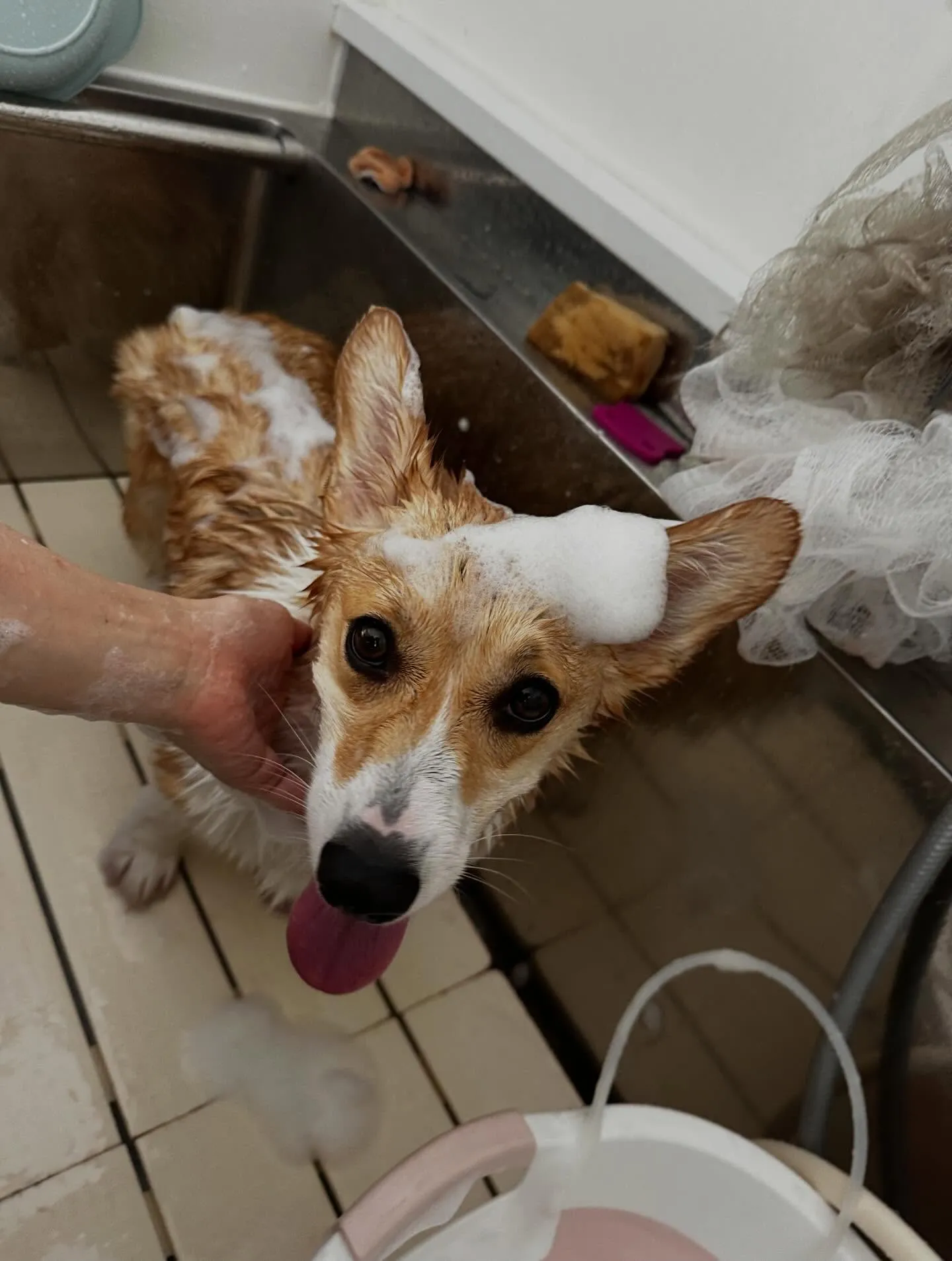 6月のカレンダーができました😊