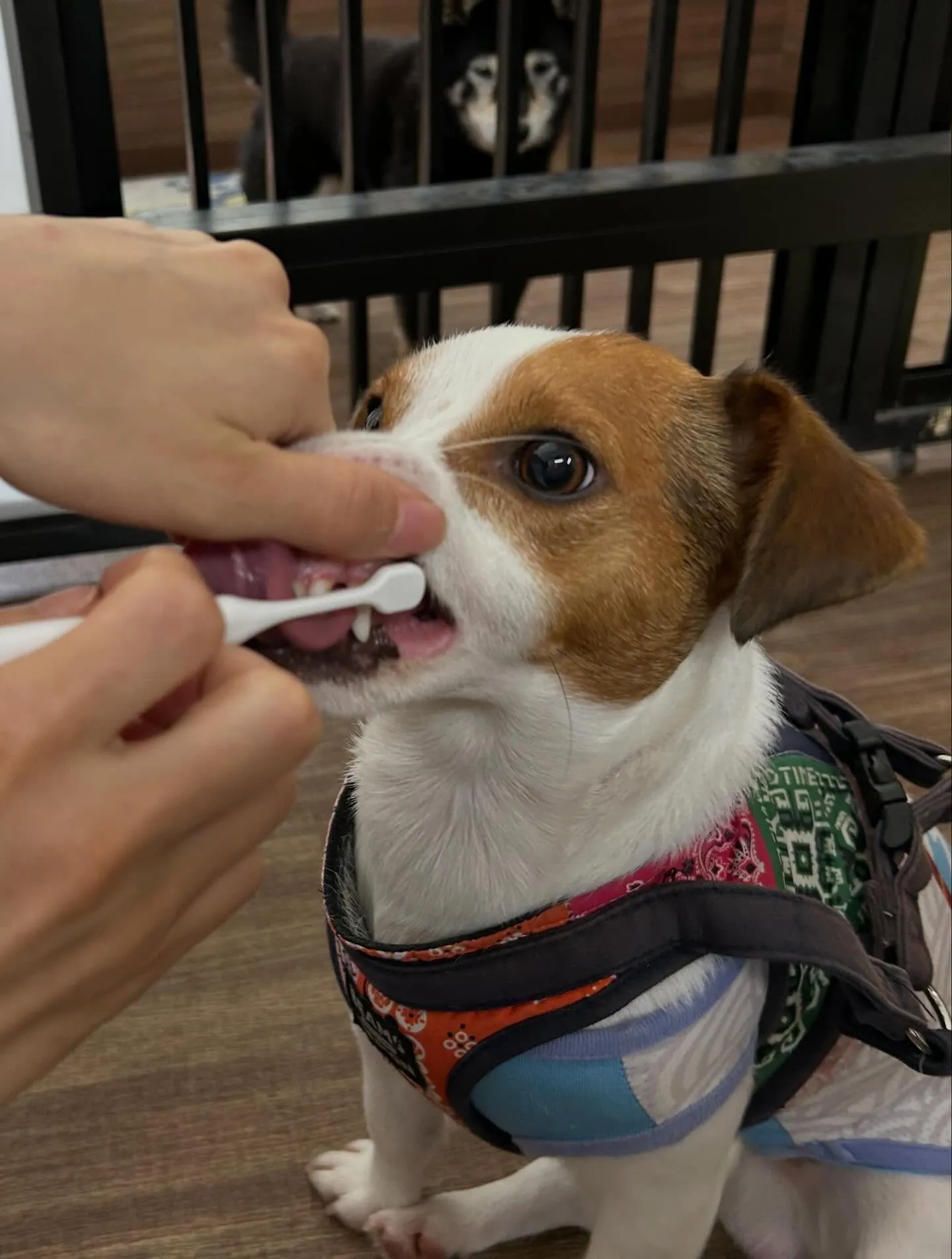 6月のカレンダーができました😊