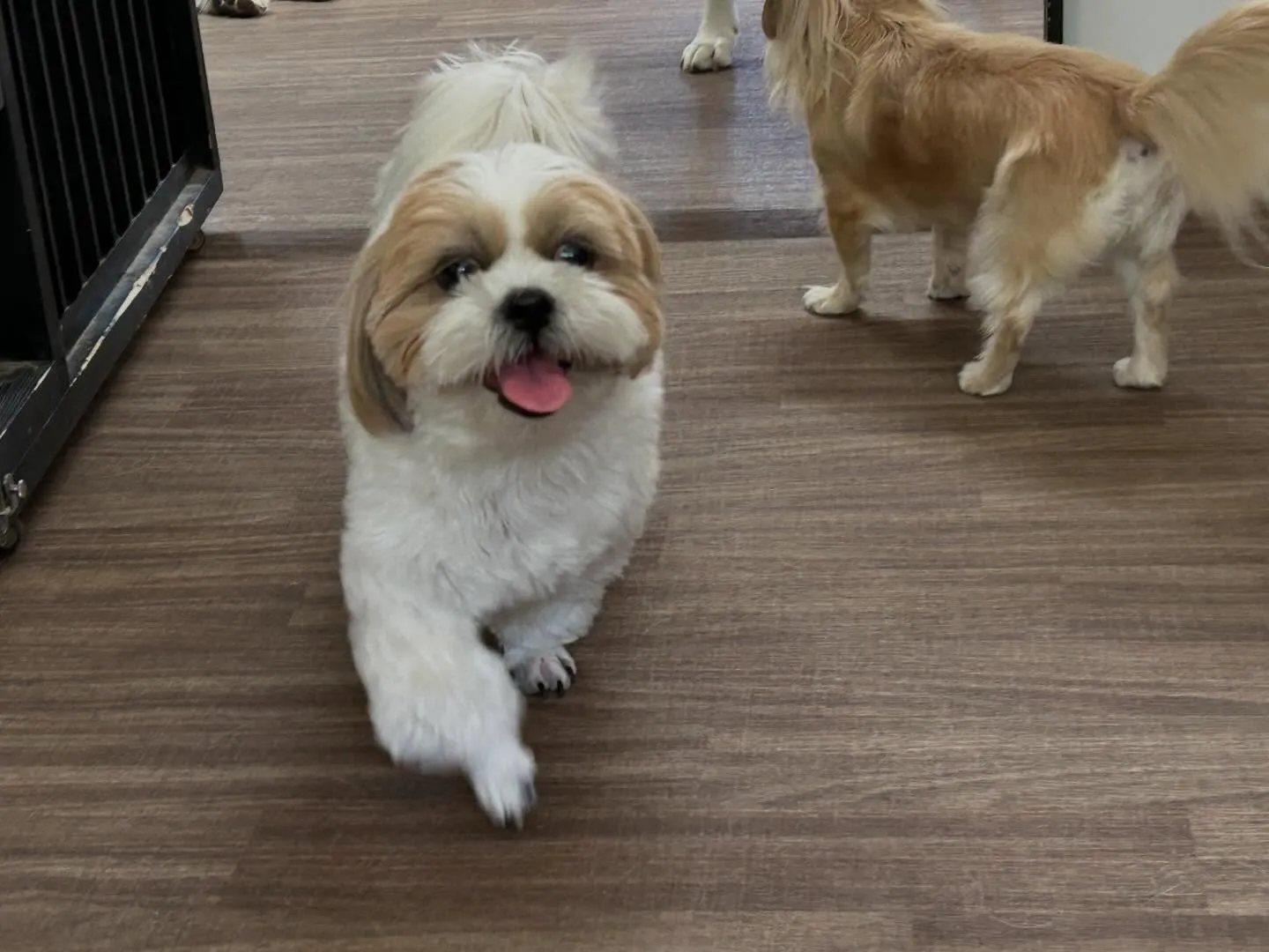 🍀4月のおすすめ商品🍀