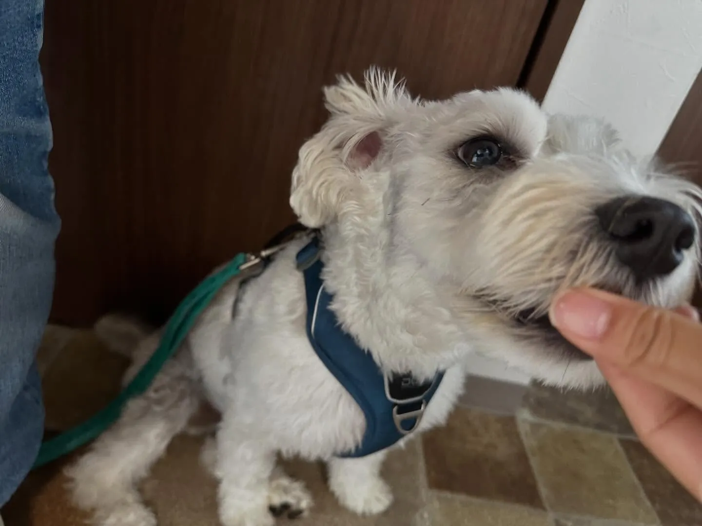 🍀4月のおすすめ商品🍀