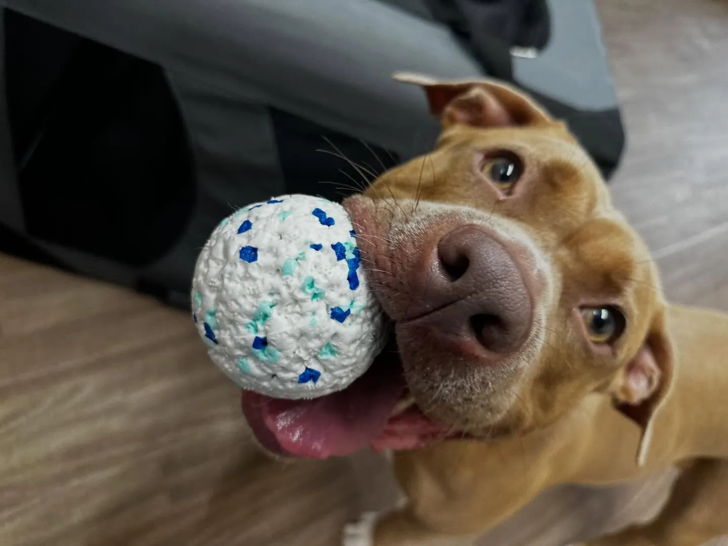 🍀4月のおすすめ商品🍀