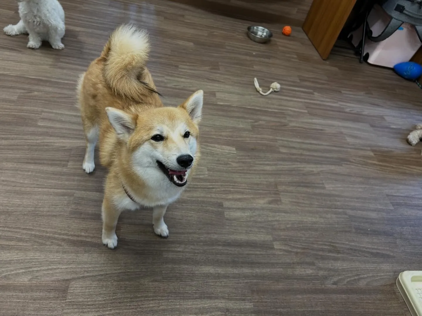 🍀4月のおすすめ商品🍀