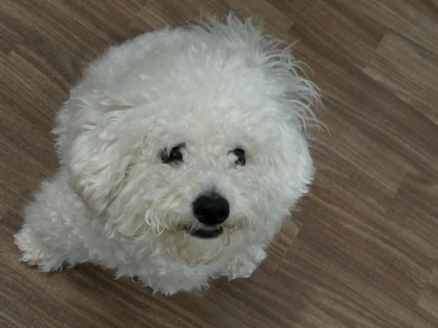 🍀4月のおすすめ商品🍀