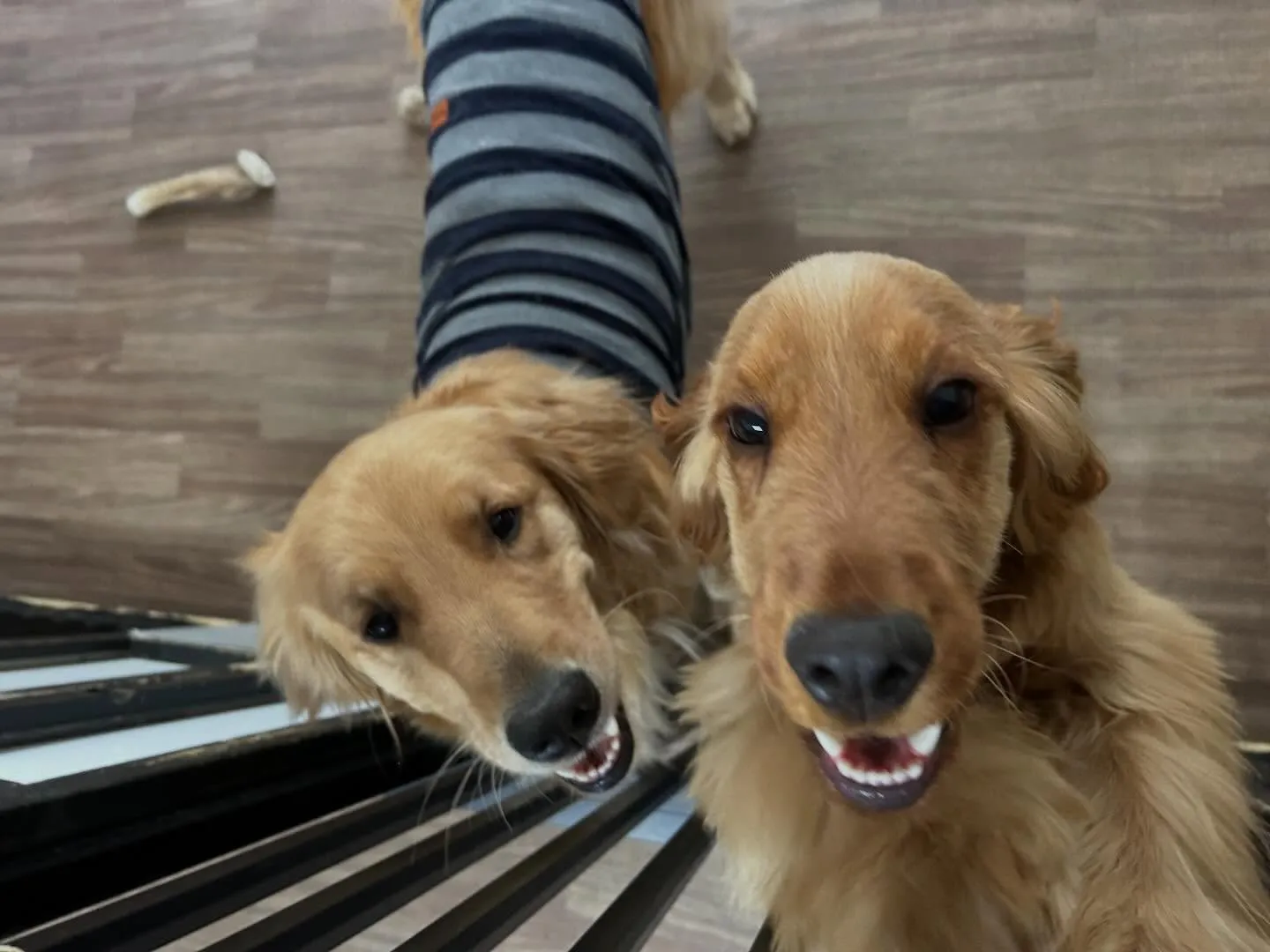 🍀4月のおすすめ商品🍀