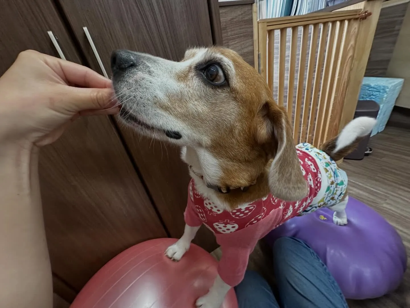 🍀4月のおすすめ商品🍀