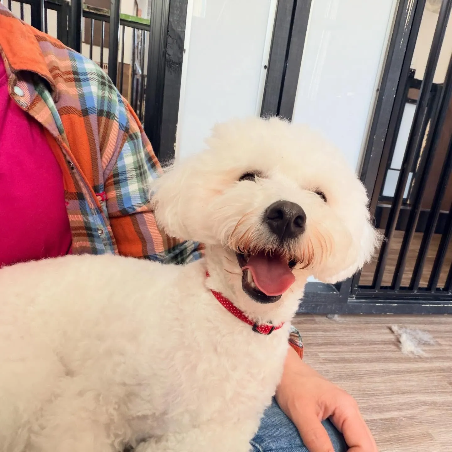 昨日はもにゅくんの誕生日でした🎂㊗️