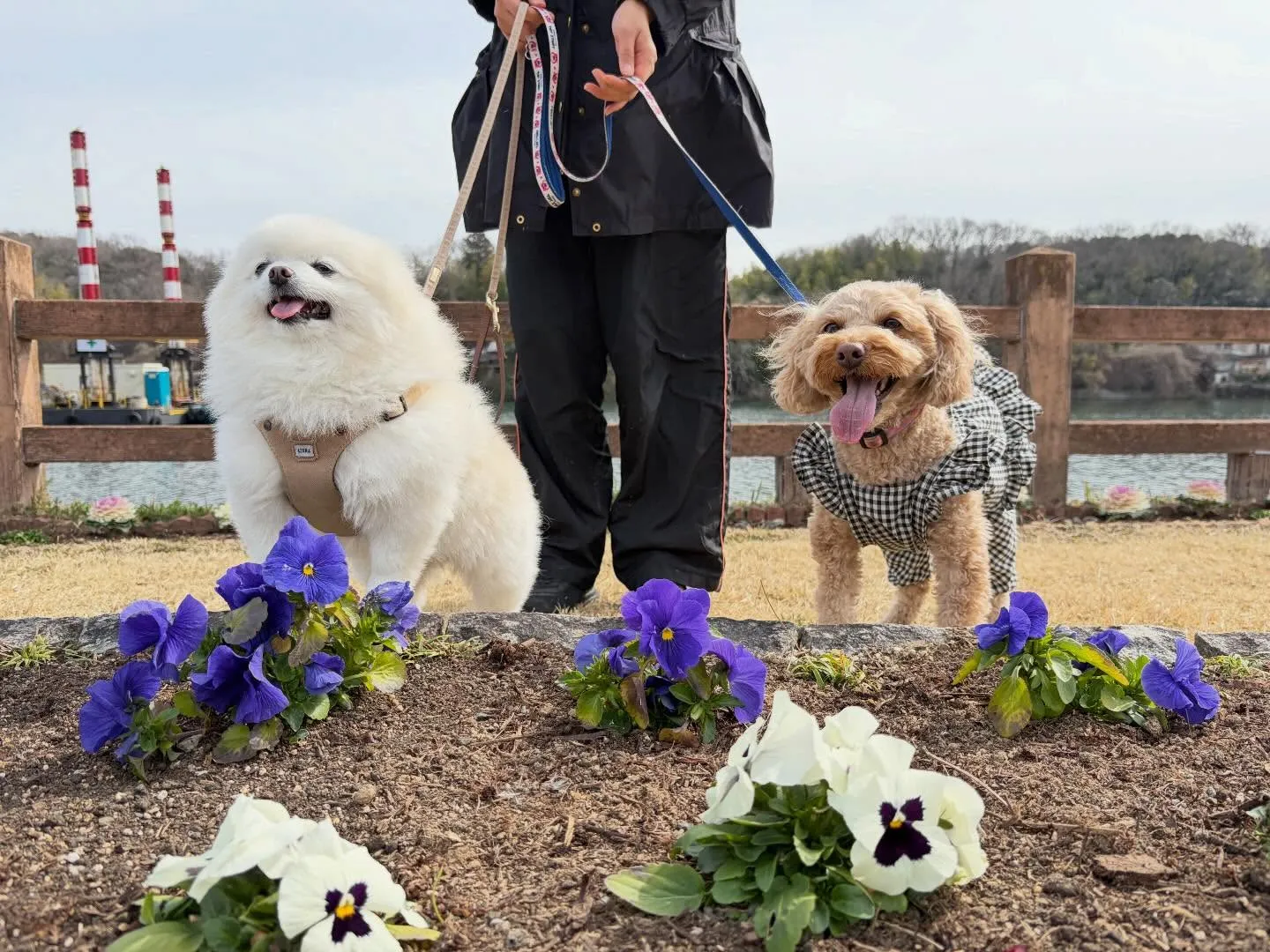 大変お待たせしました❣️