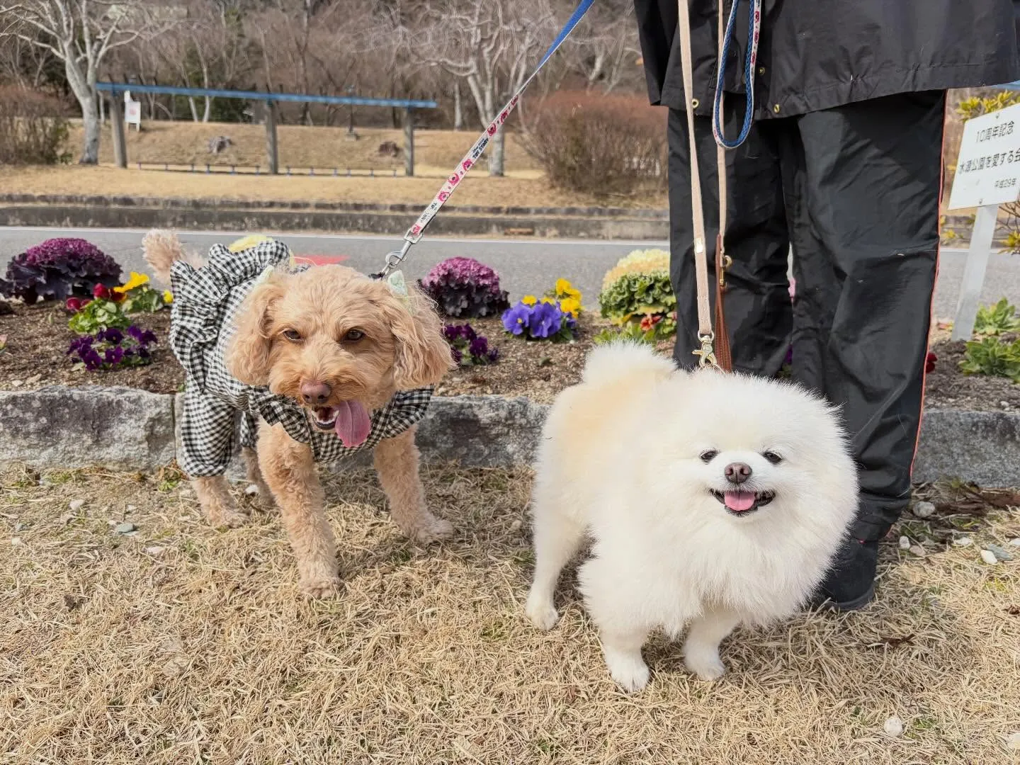 大変お待たせしました❣️