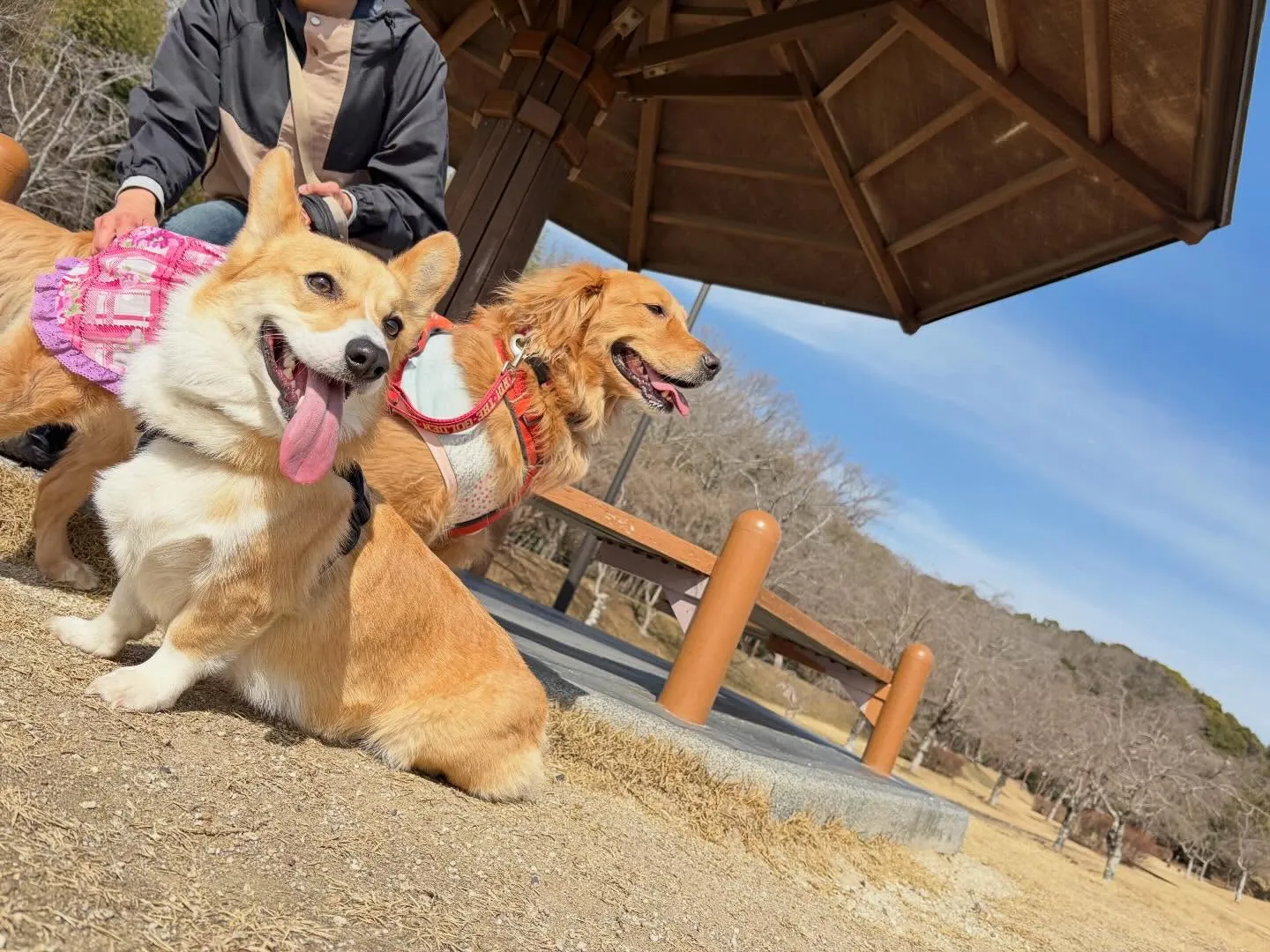 大変お待たせしました❣️