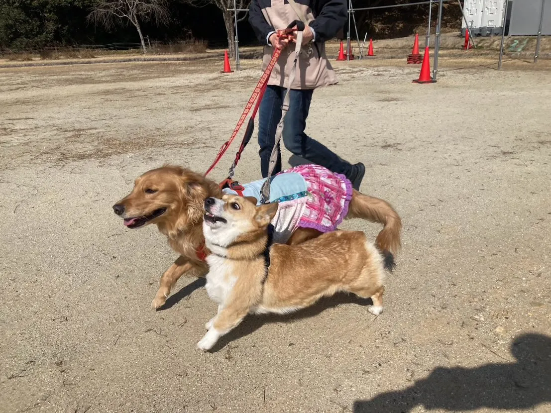 大変お待たせしました❣️