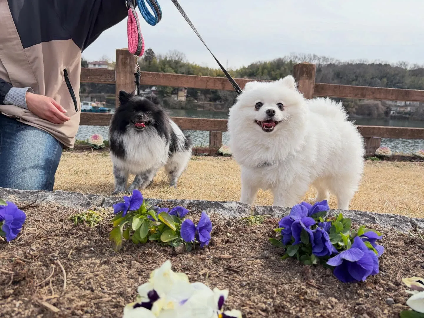 大変お待たせしました❣️