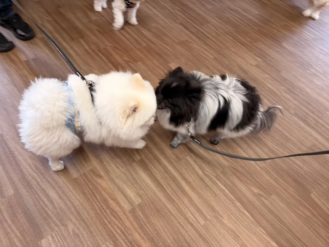 大変お待たせしました❣️