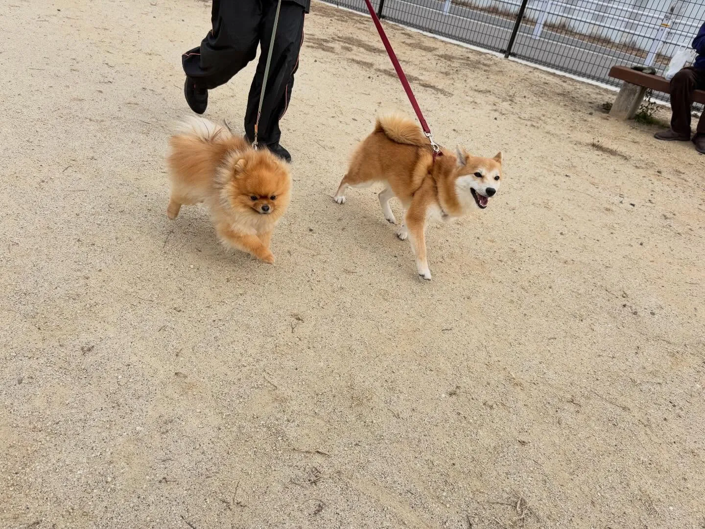 大変お待たせしました❣️