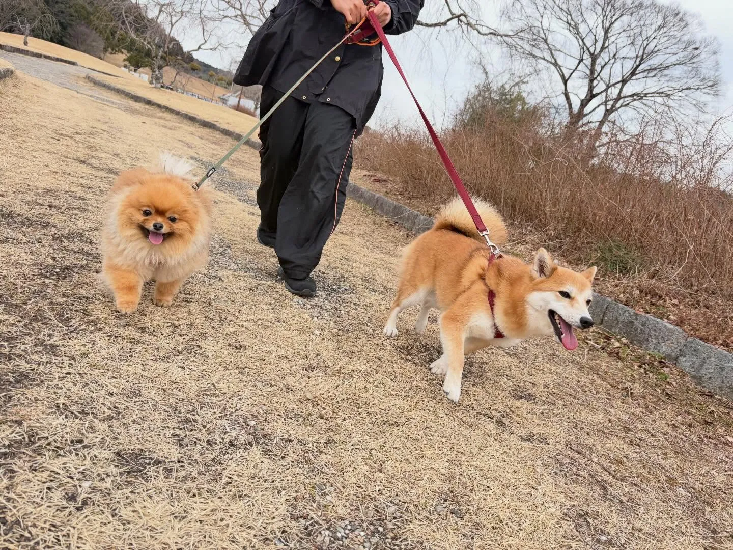 大変お待たせしました❣️