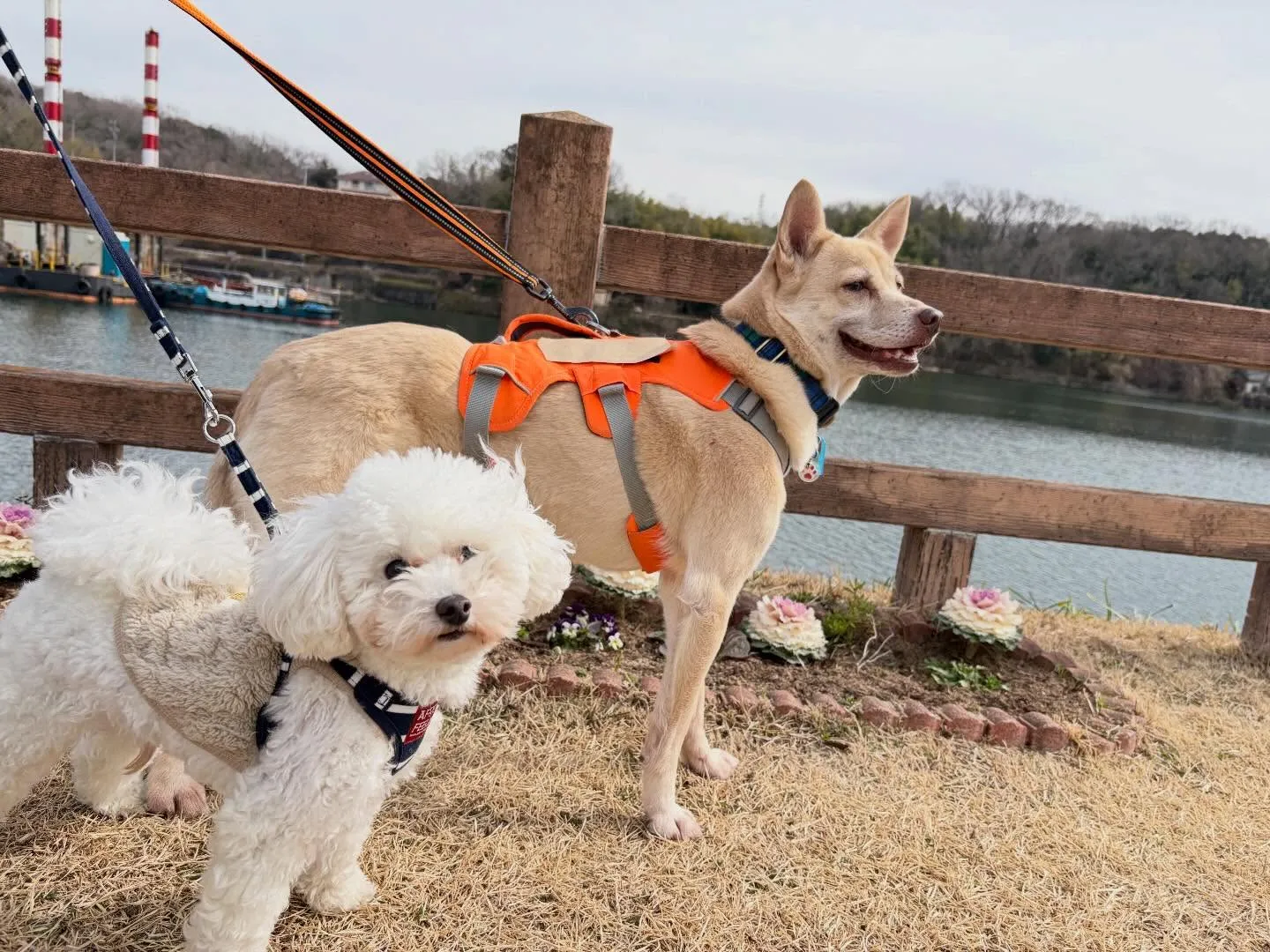 大変お待たせしました❣️