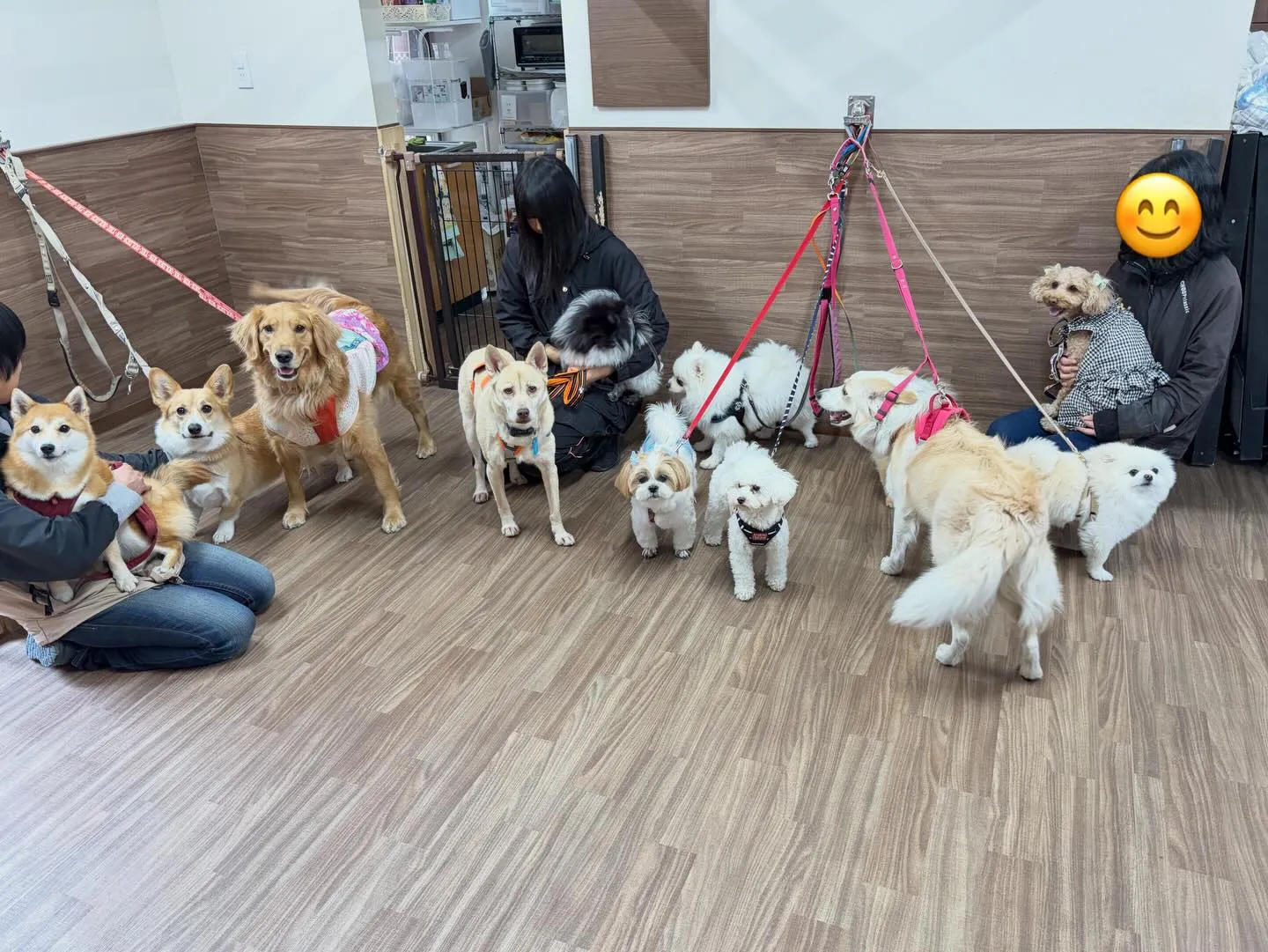 大変お待たせしました❣️