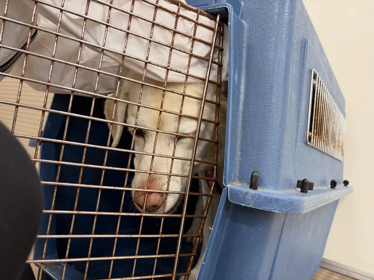 今日は今年度初学校、初授業でした🏫