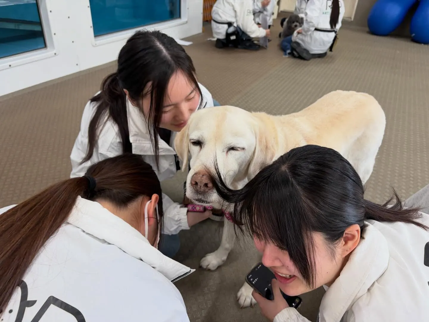 今日は今年度初学校、初授業でした🏫